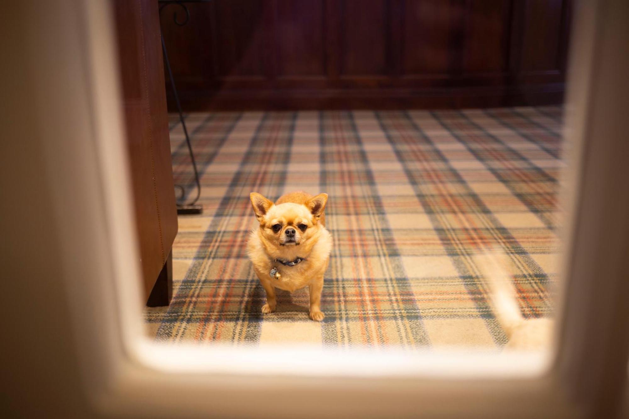 The Penrallt Country House Hotel Aberporth Dış mekan fotoğraf
