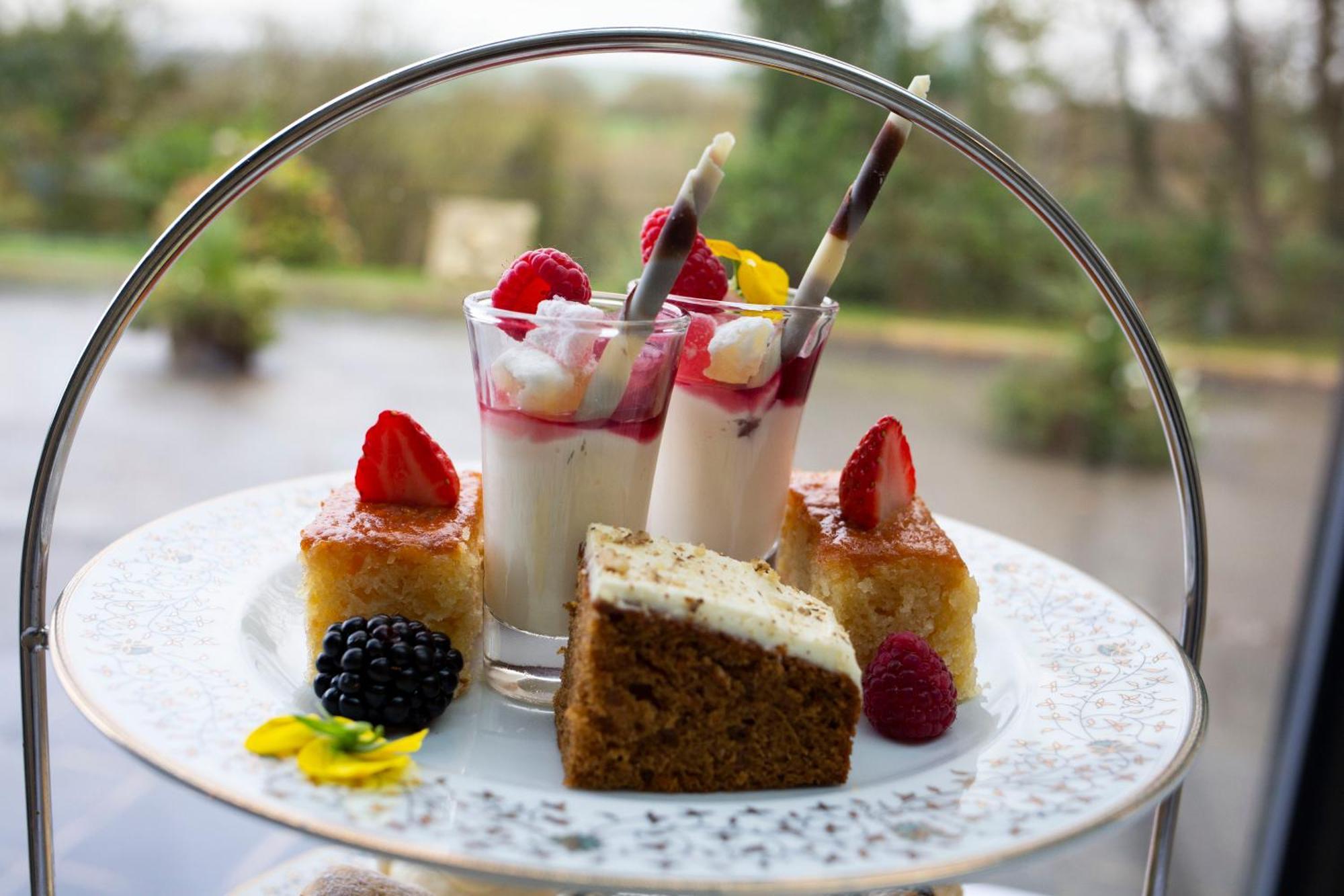 The Penrallt Country House Hotel Aberporth Dış mekan fotoğraf